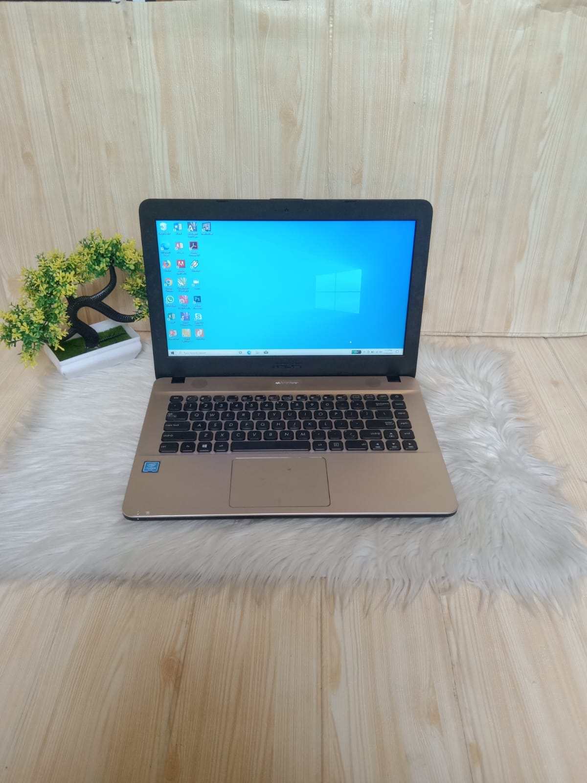 Laptop Asus X441M | Intel N4020 | RAM 4 GB | HDD 1000 GB | SEGEL