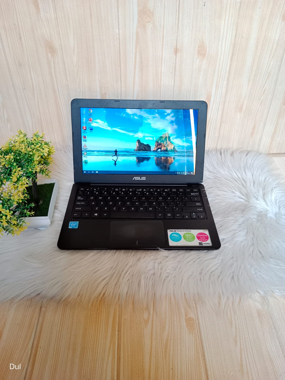 NETBOOK ASUS E202S | INTEL N3060 | RAM 2GB | HDD 500GB