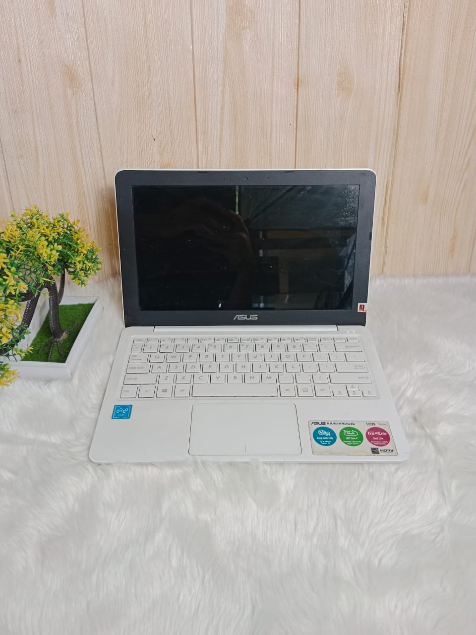 Netbook Asus E202S | Intel N3060 | RAM 2 GB | SSD 128 GB