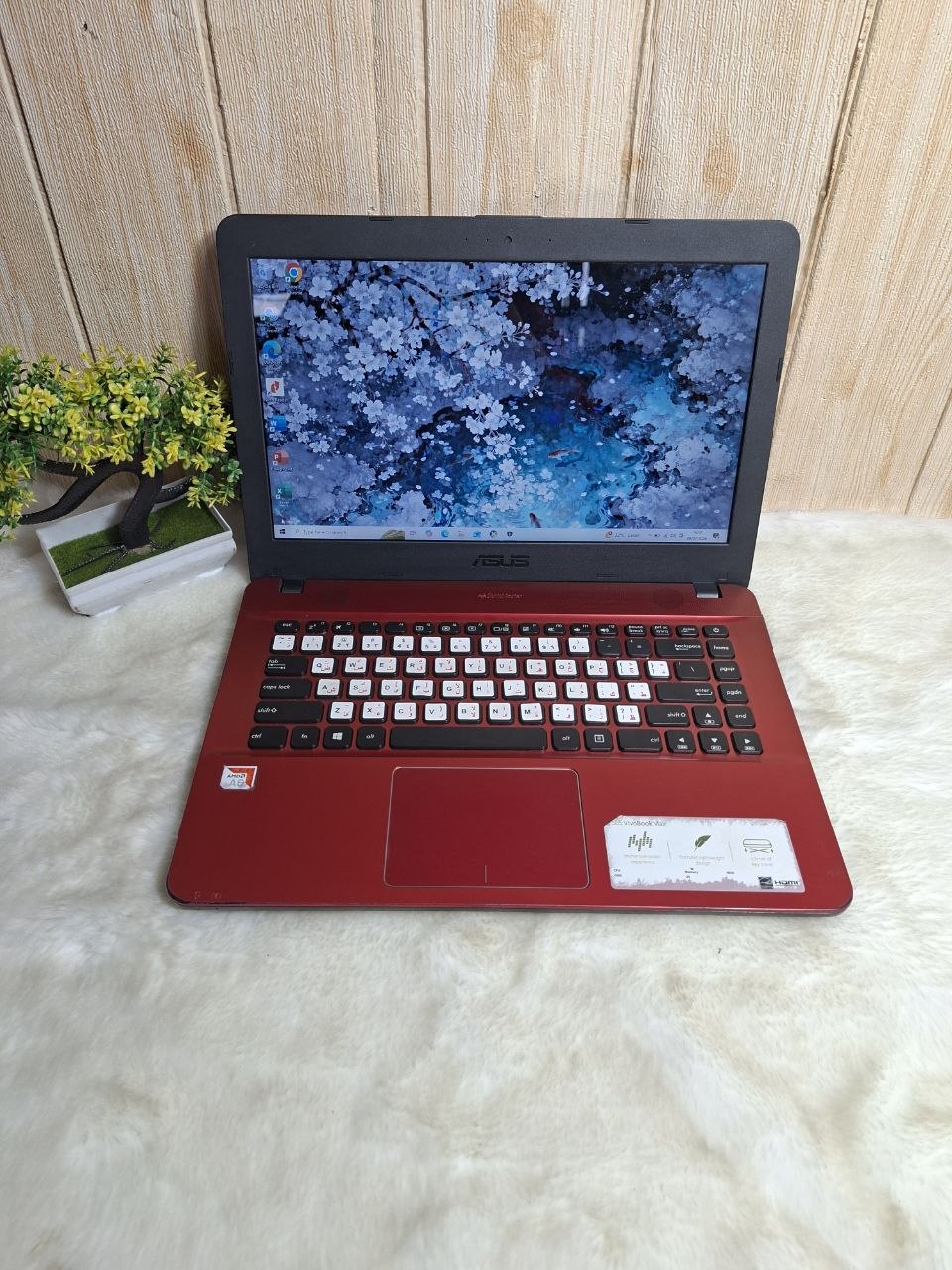 Laptop Asus X441B | AMD A6-9220 | RAM 4 GB | HDD 1000 GB | SSD 128 GB